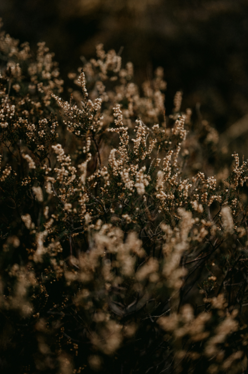 A Slow Transition…