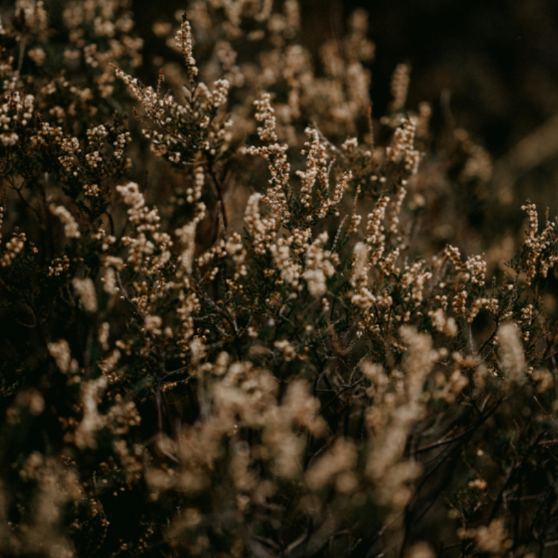 A Slow Transition…