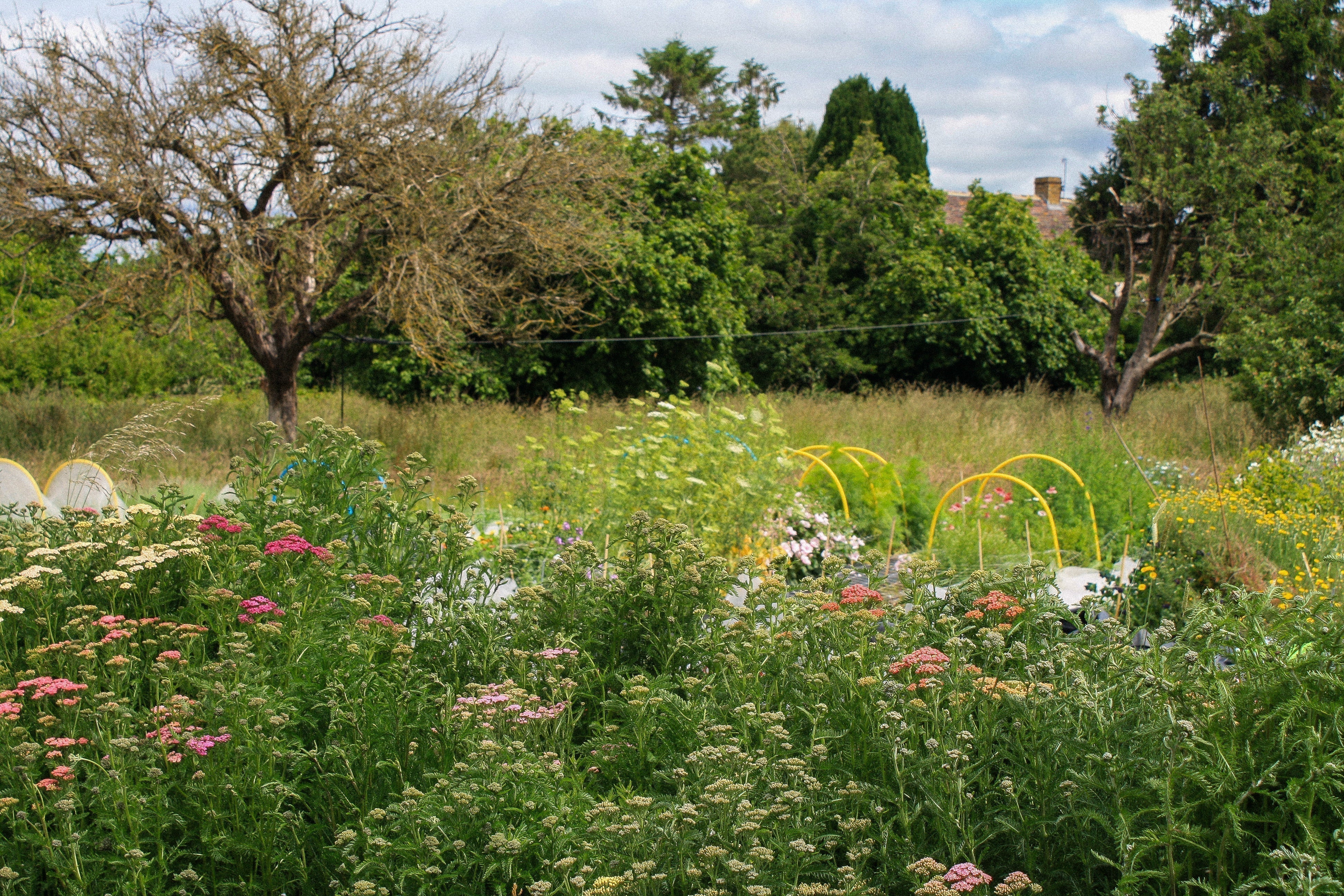 A Conversation With Woodside Lane Flowers