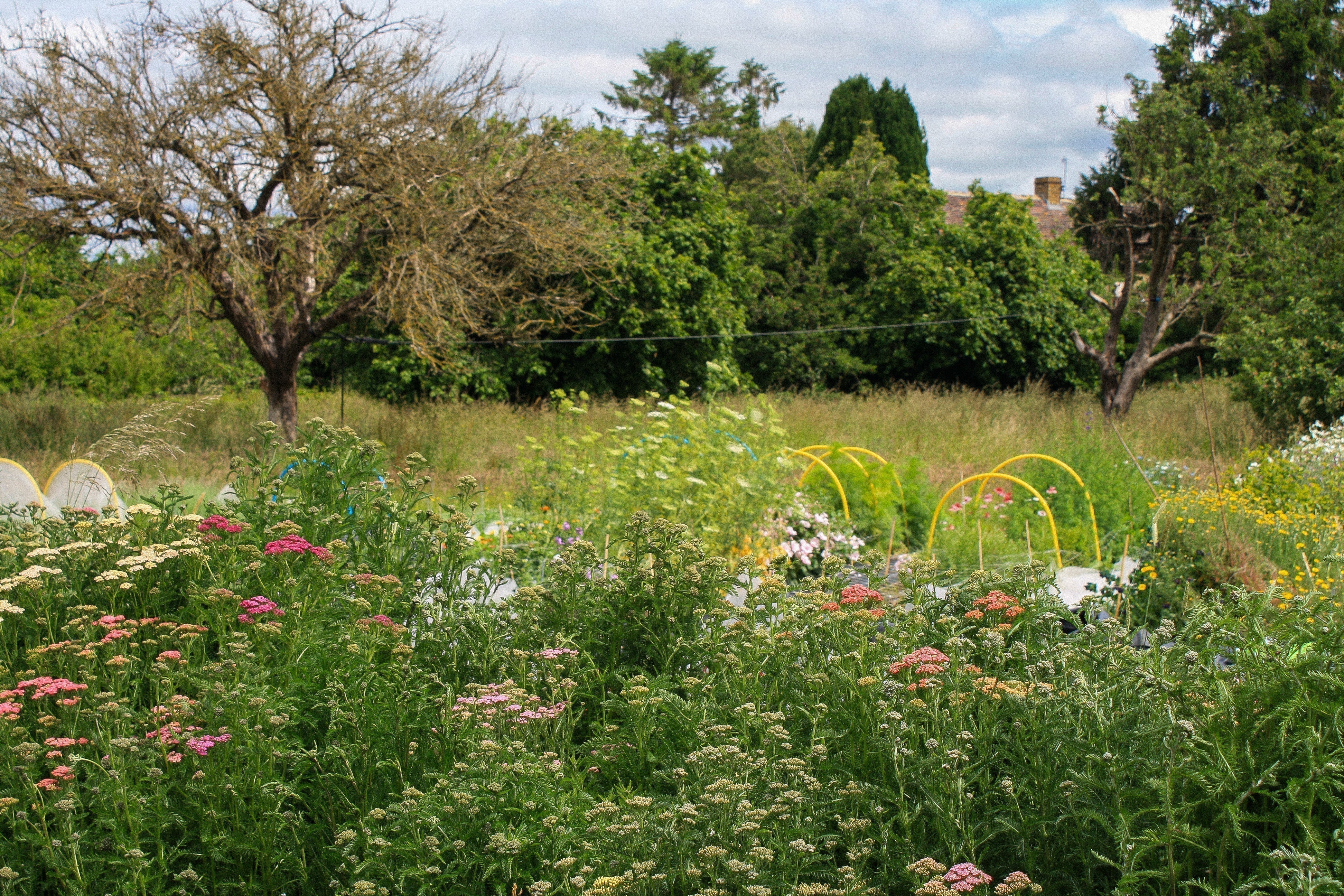 A Conversation With Woodside Lane Flowers